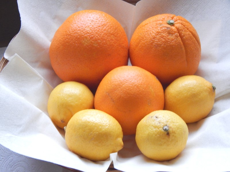 Orangen Zitronen